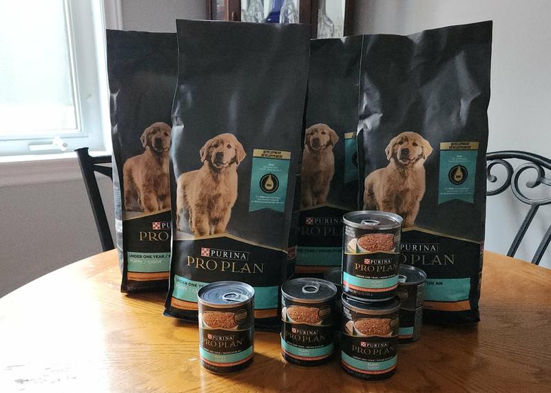 Our Breeder sent us Purina coupons!!