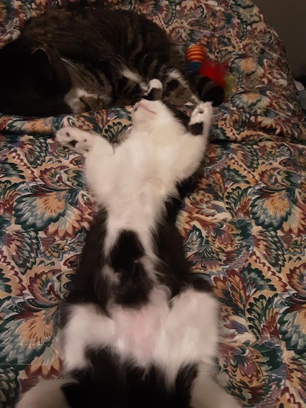 It's been a looong  day!  I am exhausted.