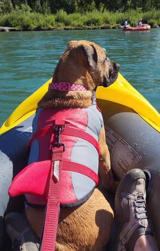 Kayaking the Bow River with Mom