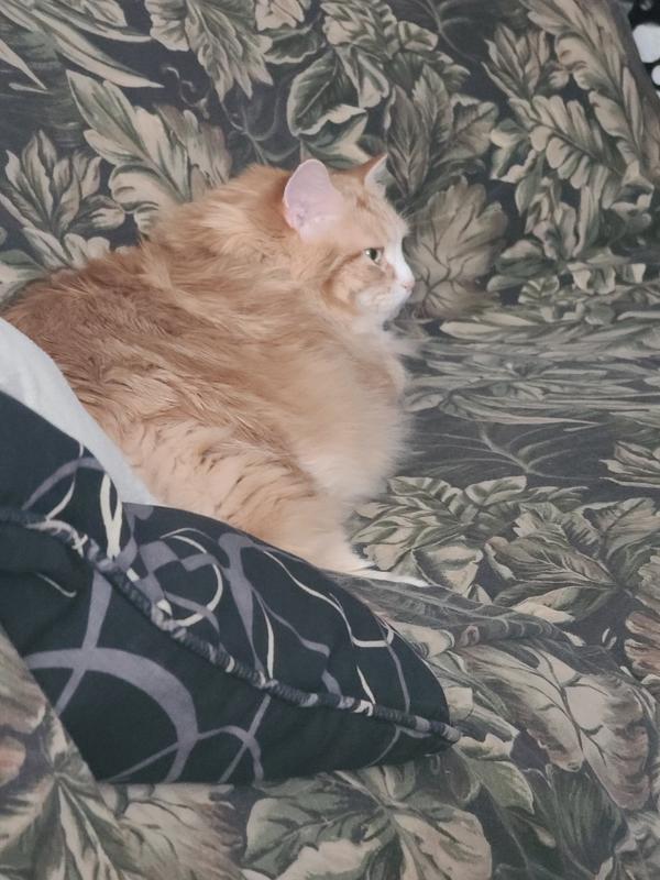 I am full and now I am resting