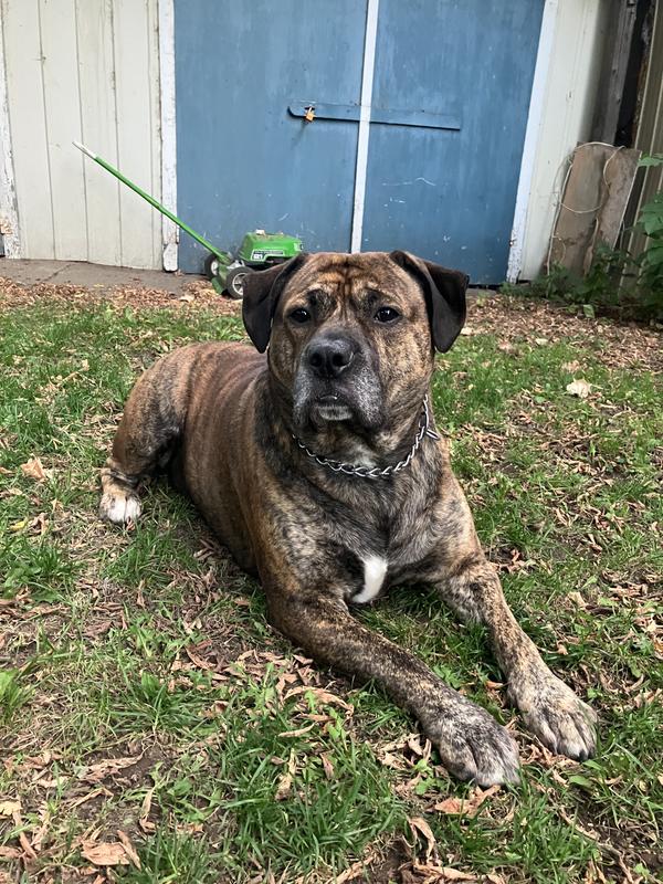 Une petite pause pendant qu’on joue