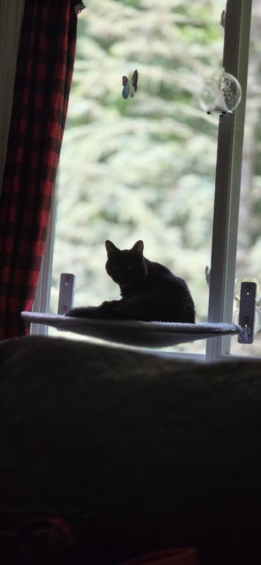 Photo - commentaire 4.