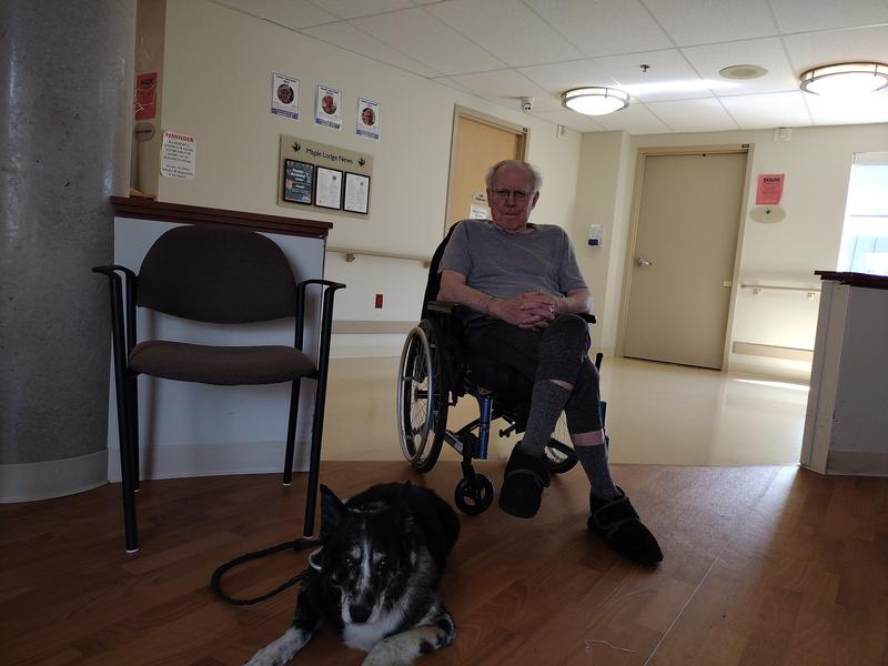 Photo - commentaire 1.