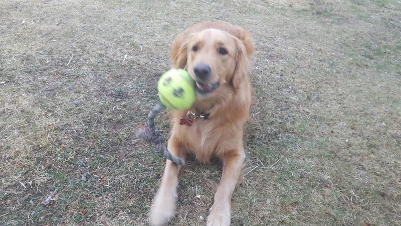 It's my ball