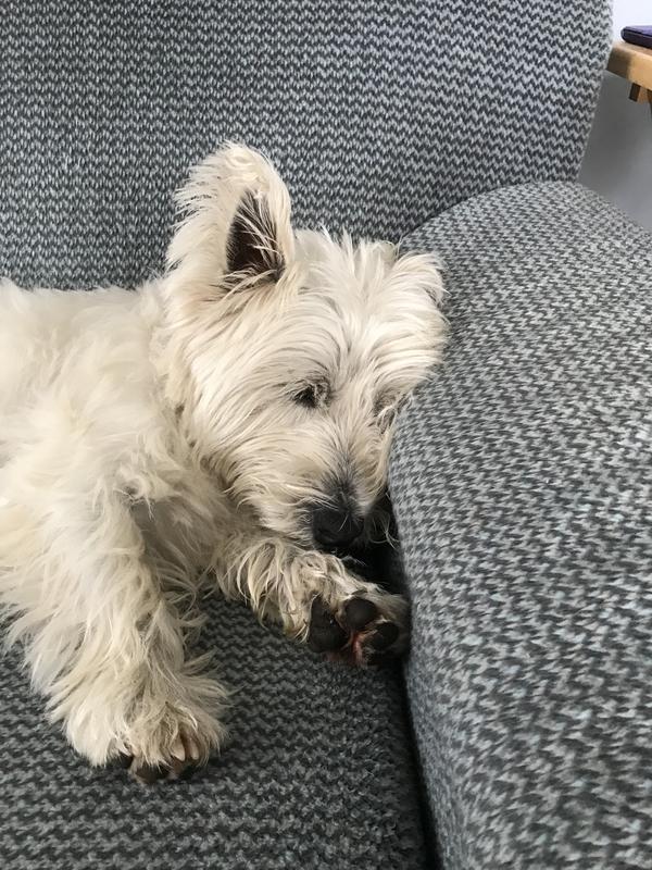 Belly full, nap time