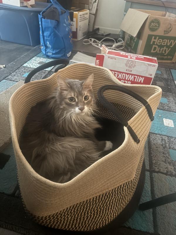 Is my gravy ready yet