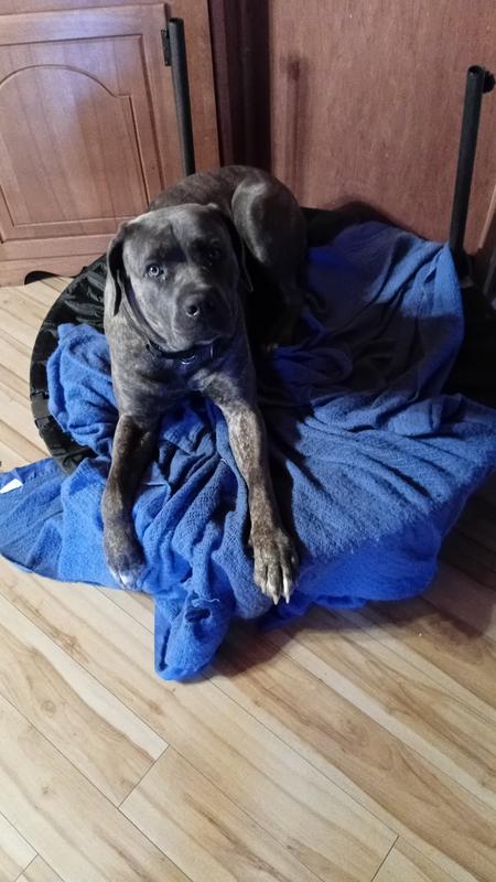 Rya in her favorite place my exercise trampoline. Lol