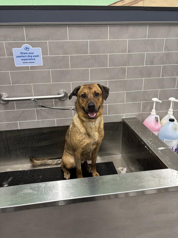 Photo - commentaire&nbsp;6.