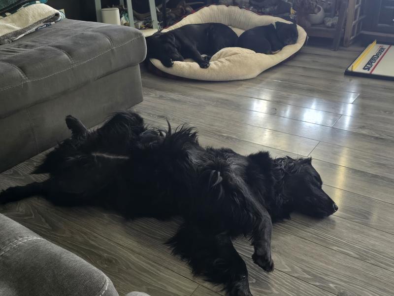 Full bellies = nap time