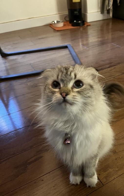 can i have a bit extra please... just hit that button