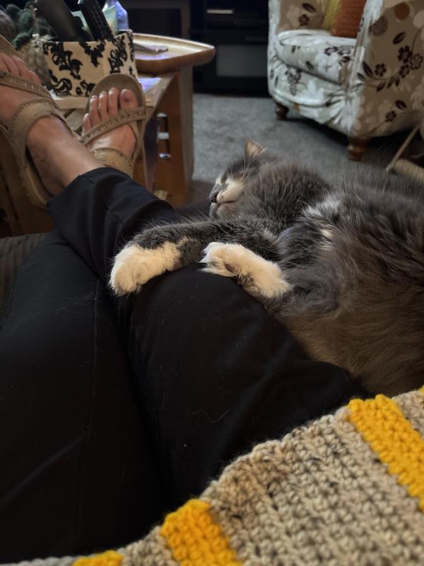 Feeling safe with momma