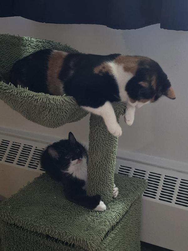 Me and my sister Meow!!