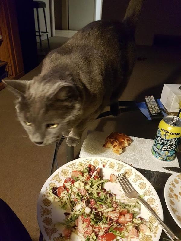 This guy likes to eat...