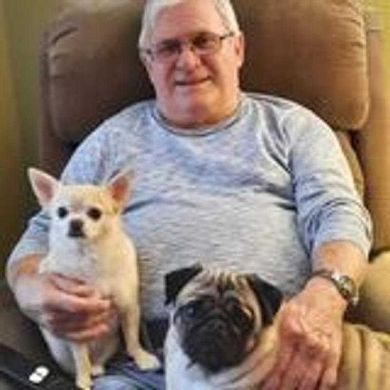 Pheobe the Chewy and Chandler the Pug, visiting Grandpa. Daughters dogs.