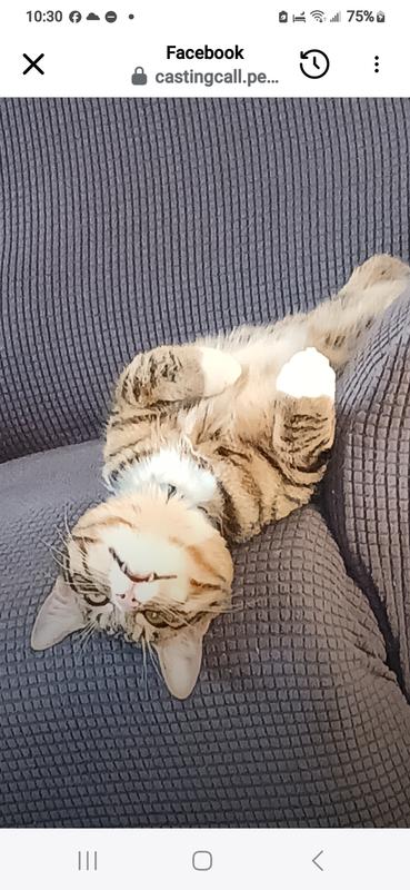 Life's better upside down today.