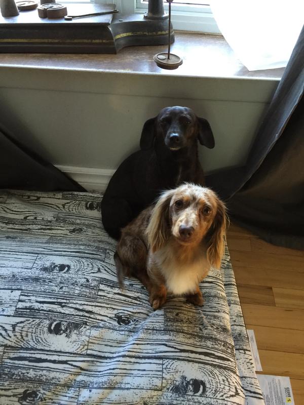 il veule en déguster encore