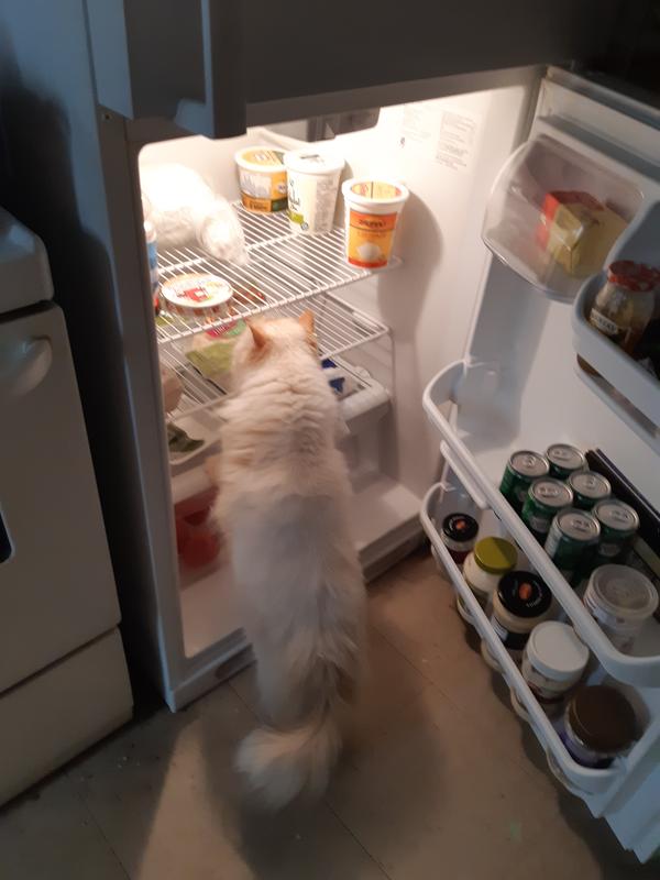 Need some cheese with my dinner.