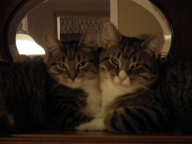 Photo - commentaire&nbsp;4.