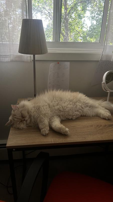 Just chillin' after eating