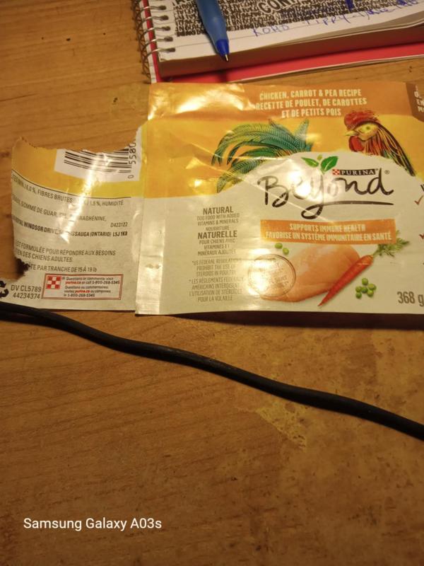 Beyond Wet Dog Food