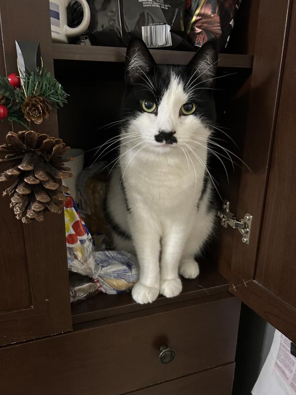 Photo - commentaire 3.