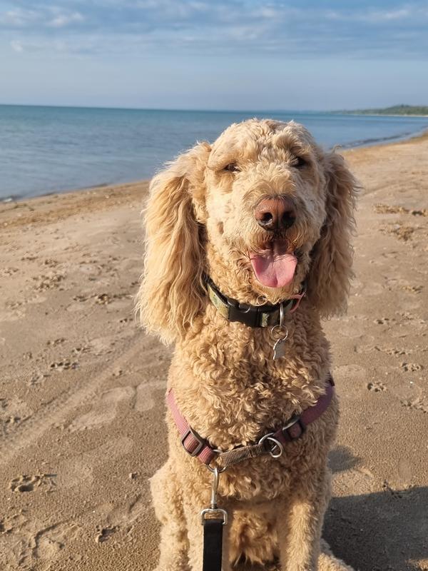 Needs some shades that sun it bright!