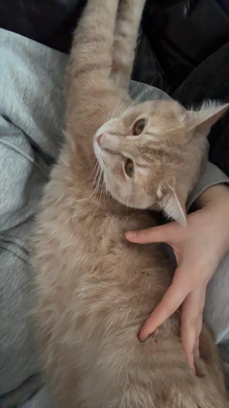 Photo - commentaire&nbsp;8.