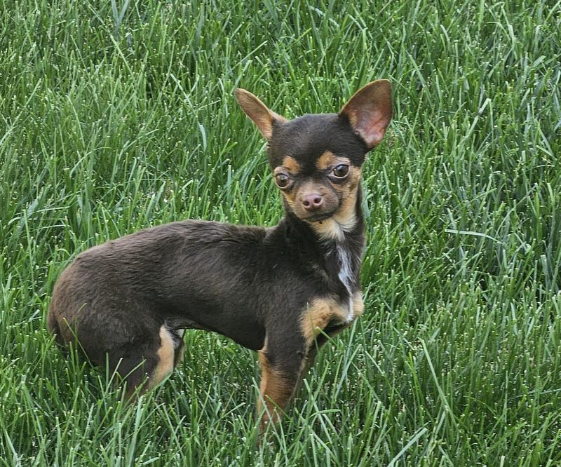 Look how handsome I am!!