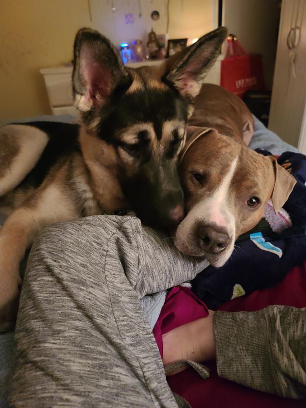 Freya & Malaki