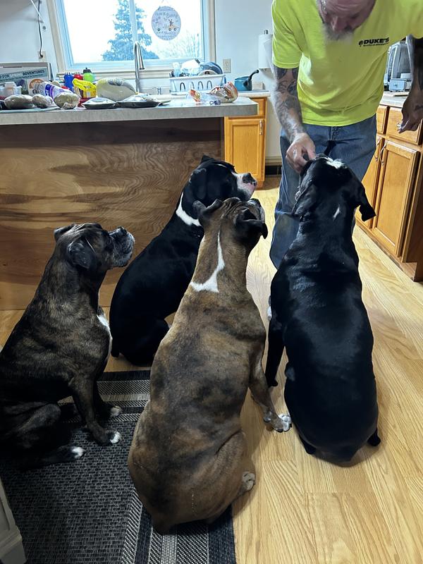 The whole gang is on purina!