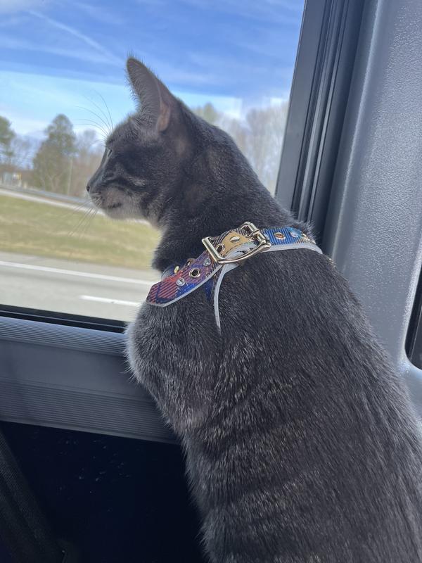 Purina Pro Plan Veterinary Diets FortiFlora Probiotic Supplement for