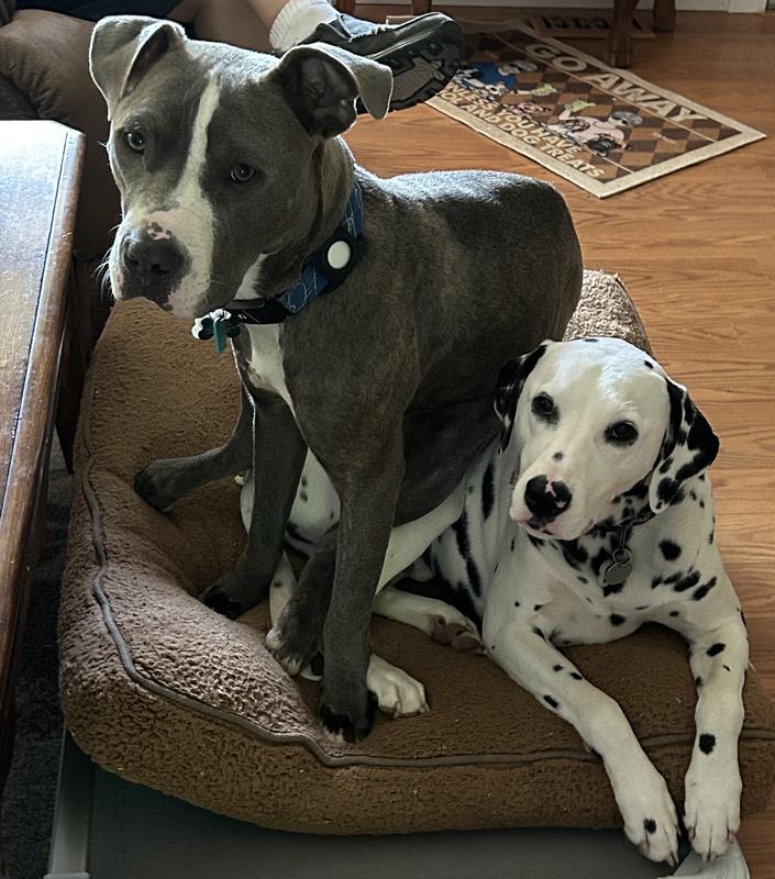 Goofballs