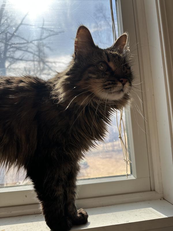 My old lady loves it every morning!