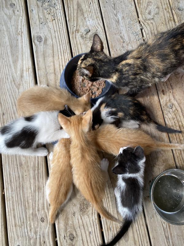 Dinner time!!