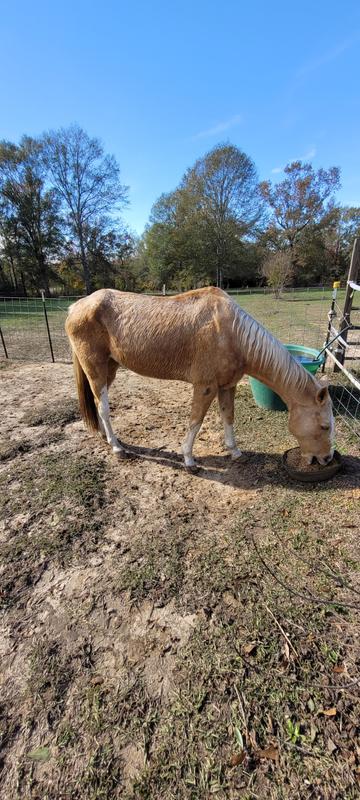 Heart breaking sight