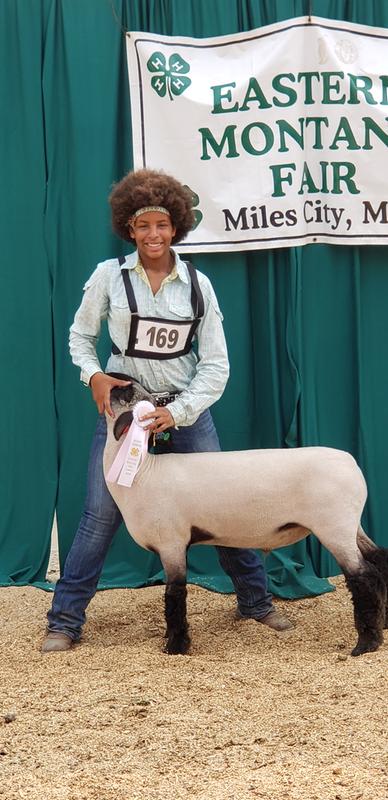 Purina Honor Show Grand Lamb Mixer DX- High Performance Lamb