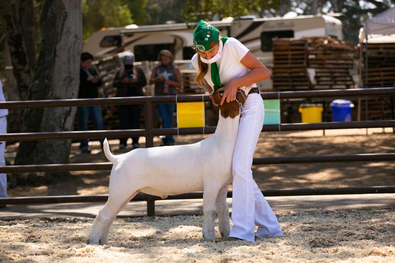 Product Makes Champions