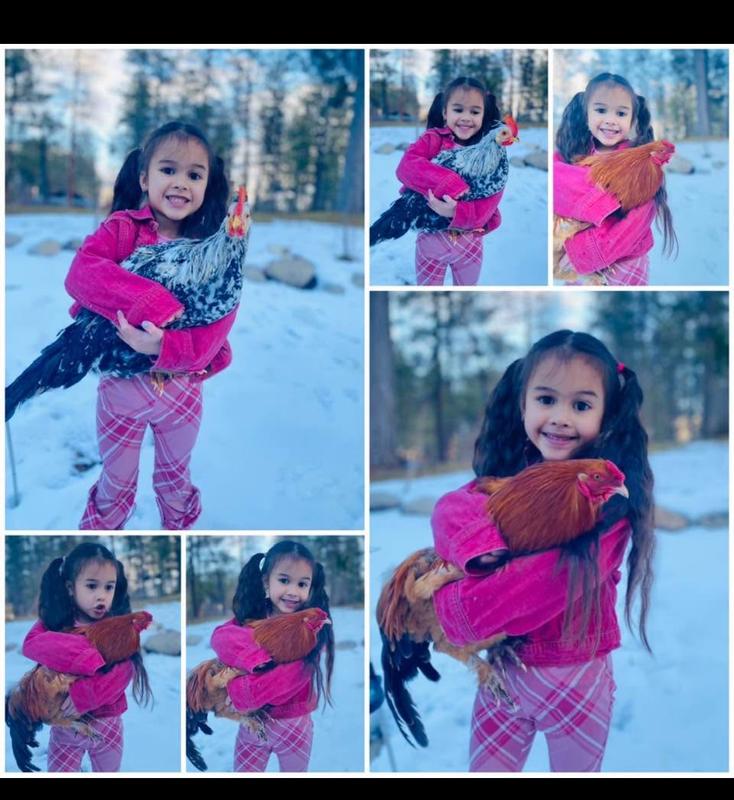 My sweet chicken loving granddaughter
