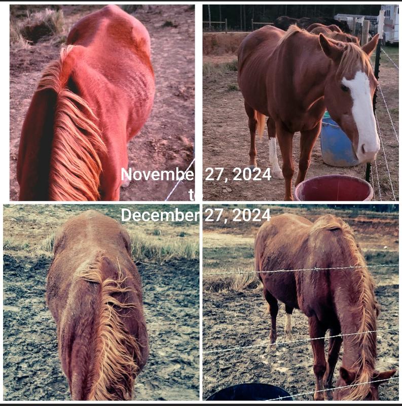 After One month of this Amazing Product