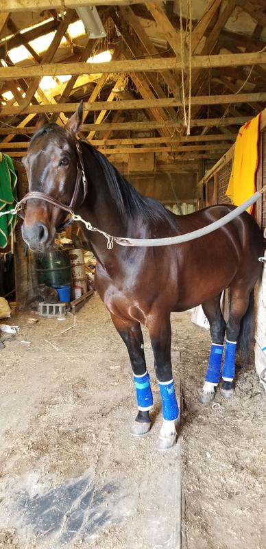 Ready to go racing!