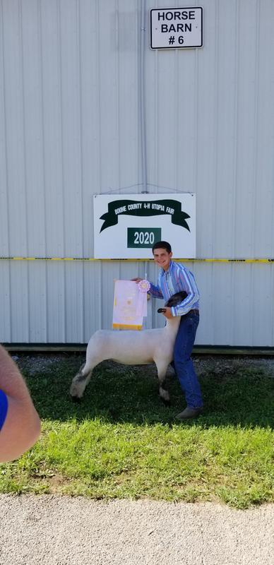 Reserve champion market wether