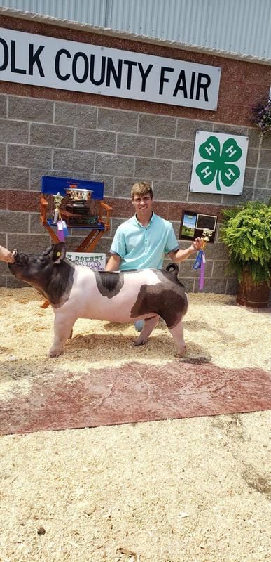 2019 County Fair