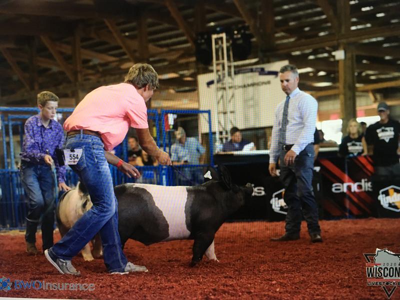 2020 livestock expo