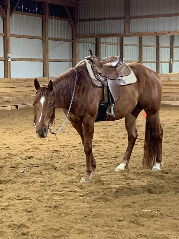 Great feeding programs, and here are the end results