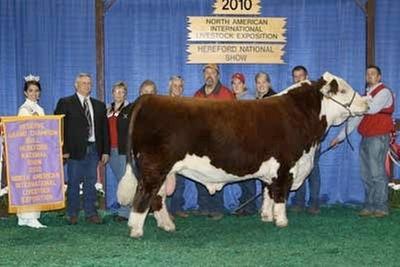 Reserve national champion