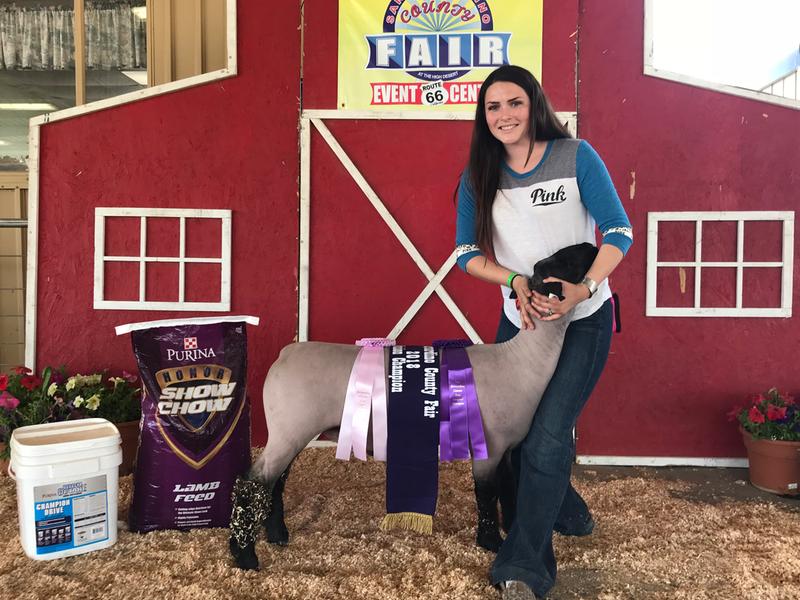 2018 Reserve Supreme Champion Market Lamb