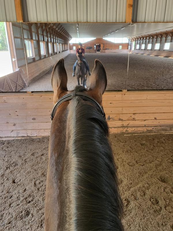 The best seat in the house