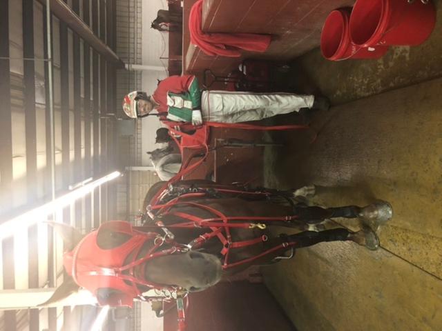 Love him❤️❤️