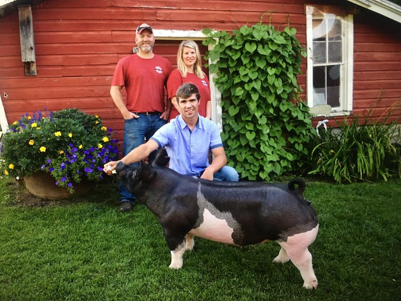 XBreed Gilt Reserve Grand Champion