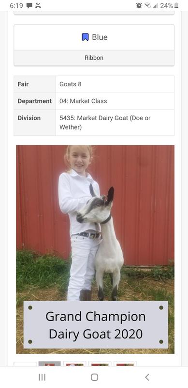 2020 Grand Champion Dairy Market Goat
